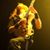 Travis Beck's profile image