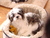Nancy T.'s profile image