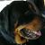 Bruce Barshay's profile image