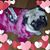 Holli Dennis's profile image