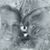 Nina Lytis's profile image