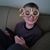 Nancy Valenti Dombrowski's profile image