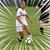 Lynne Nichols Brandon's profile image