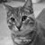 Andrea Watson Clark's profile image