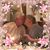 Shirley Enis's profile image