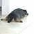 Nicole Marie Monfredo's profile image