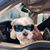 Sheryl McLellan Anderson's profile image
