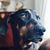 Elaine Turner's profile image