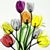 Sherry Kurzendoerfer Nickerson's profile image
