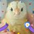Tammy Adams Hendrick's profile image