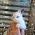 Kimberly Richardson's profile image
