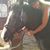Monica Welzel Peters's profile image