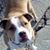 Wendy Mayne's profile image