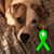 Lisa Beyer Huizenga's profile image
