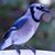 Garrett Walker's profile image