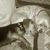 Lynn Adams's profile image