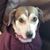 Patti O'Dell-Dooley's profile image