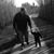 Matthew Flesch's profile image