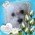 Cathie Lee's profile image