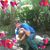 Eric Rivera-soto's profile image