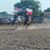 Dawn Marie Brazell's profile image