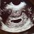 Nicole Eckard's profile image