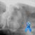 Alona Lee Steele Jones's profile image