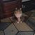 Pam Koby's profile image
