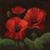 Eileen Tomlinson's profile image