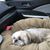 Susan Jones's profile image