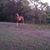 Alicia Millsaps's profile image