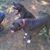 Amanda Chatman's profile image