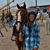 Miranda Paragian's profile image