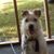 Rosie Davis's profile image