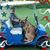 Don Lorenz Sr.'s profile image