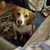 Kelly Daly Salisbury's profile image