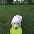 Dale Bond's profile image