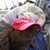 Sheri Zabowski's profile image