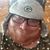 Todd Senecal's profile image