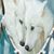 Ann Cromwell's profile image