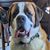 Jarod Sevier's profile image