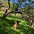 Alison Brunsdon's profile image