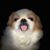 Karen Kohn's profile image