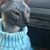Kylie Candela's profile image