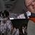 Edward Mucklow's profile image