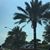 Marlena Edmonson's profile image
