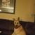 Cory Peterson's profile image