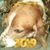 Philip Langman's profile image