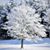 Kathy Butler Evans's profile image