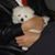 Zhuojun Joyce Chen's profile image